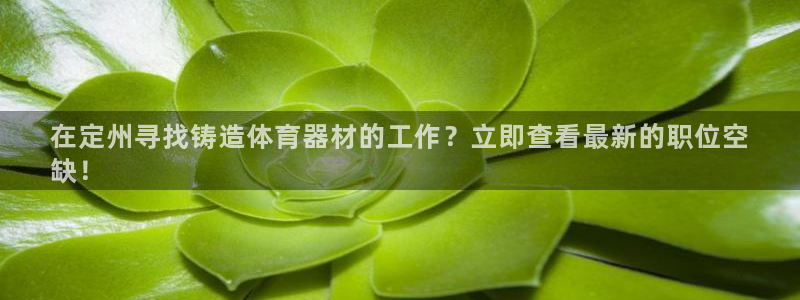 星欧娱乐挂机赚钱是真的吗：在定州寻找铸造体育器材的工