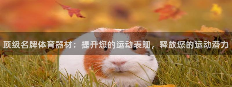 星澳娱乐公司：顶级名牌体育器材：提升您的运动表现，释