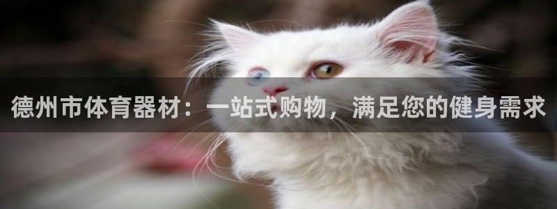 星欧娱乐总代.直开.中国