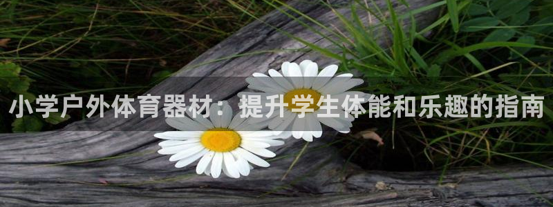星欧娱乐平台道7O777：小学户外体育器材：提升学生