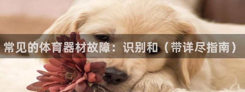 星乐娱乐