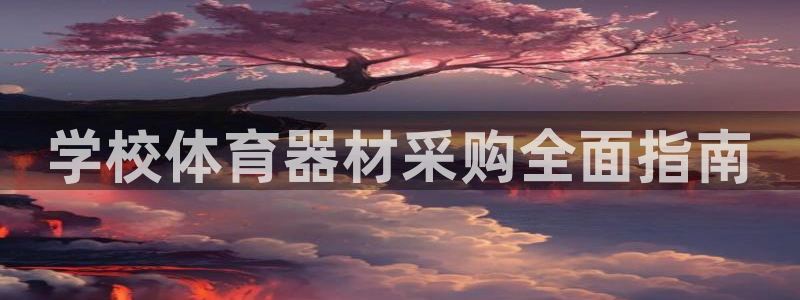 星奥盛典娱乐会所：学校体育器材采购全面指南