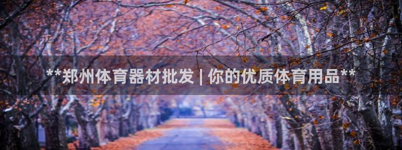 星欧娱乐法711.112不退款后果：**郑州体育器材