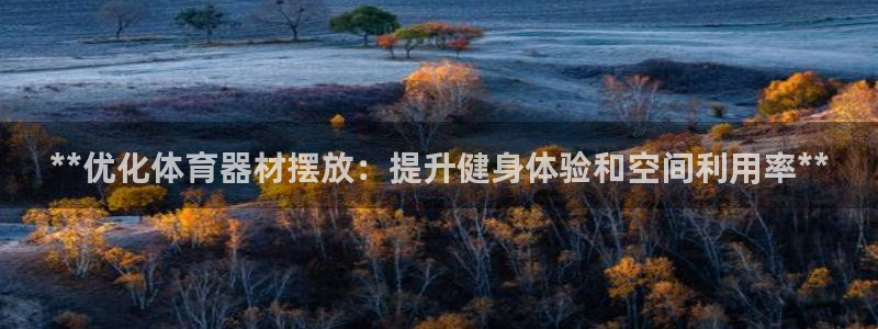 星欧娱乐平台道7O777：**优化体育器材摆放：提升