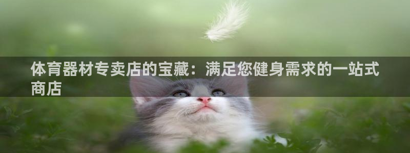星奥娱乐集团股份有限公司怎么样