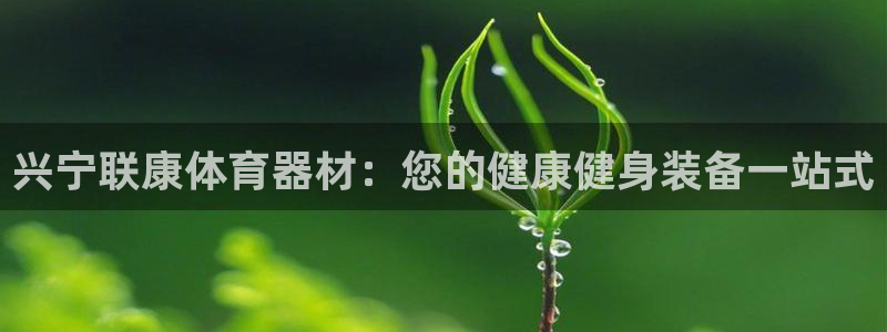 星欧娱乐雀V是什么平台