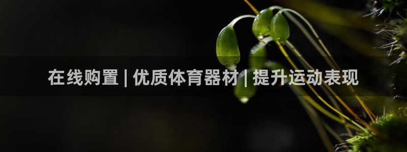 星欧娱乐的官方版本更新内容怎么删除：在线购置 | 优