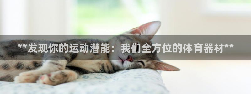 星欧娱乐法最新进展：**发现你的运动潜能：我们全方位