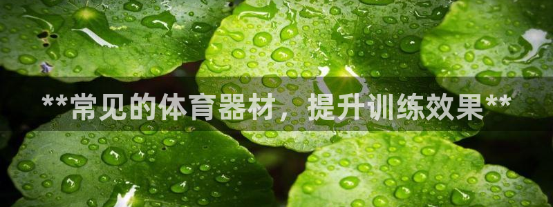 星欧娱乐扣款流程详解视频教程：**常见的体育器材，提