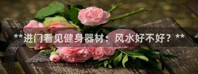 星欧娱乐巴711.112扣费记录查询方法：**进门看