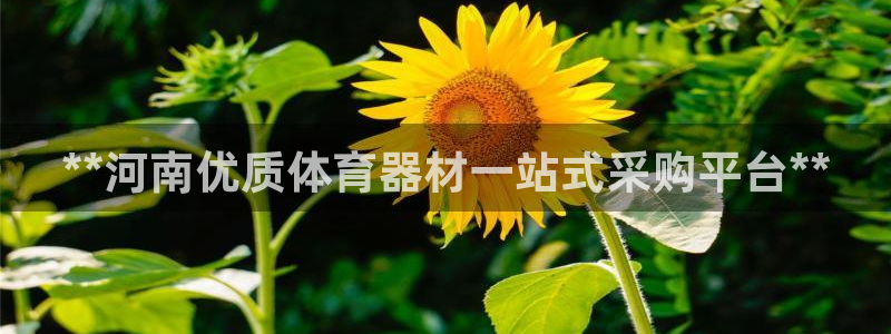 星欧娱乐最建议买的三个游戏账号：**河南优质体育器材