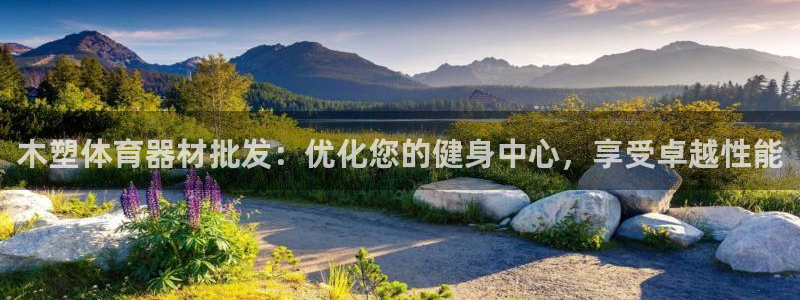 星奥娱乐集团股份有限公司怎么样：木塑体育器材批发：优