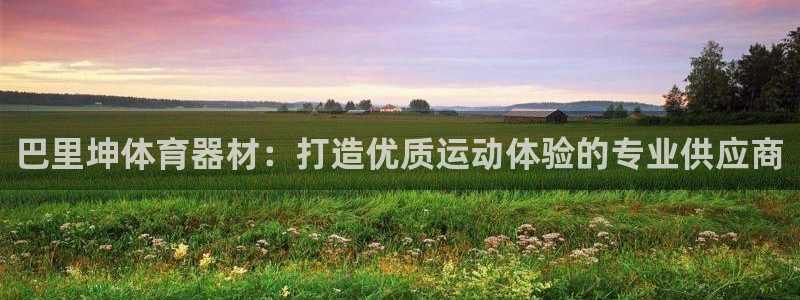 星欧娱乐扣款流程详解图：巴里坤体育器材：打造优质运动