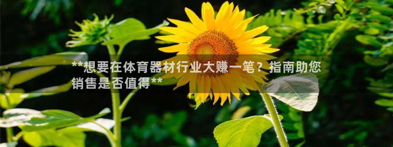 星欧娱乐挂机赚钱是真的吗
