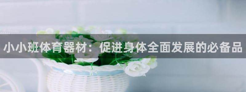 星欧娱乐还能玩吗：小小班体育器材：促进身体全面发展的
