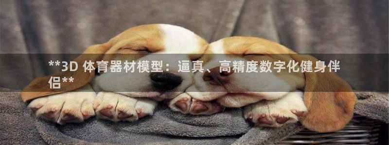 星欧娱乐公司怎么样：**3D 体育器材模型：逼真、高