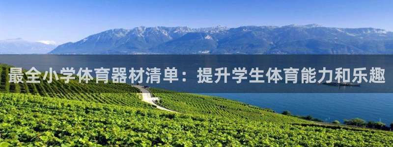 星欧娱乐的官方版本更新内容是什么：最全小学体育器材清