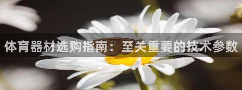江苏星奥娱乐招艺人