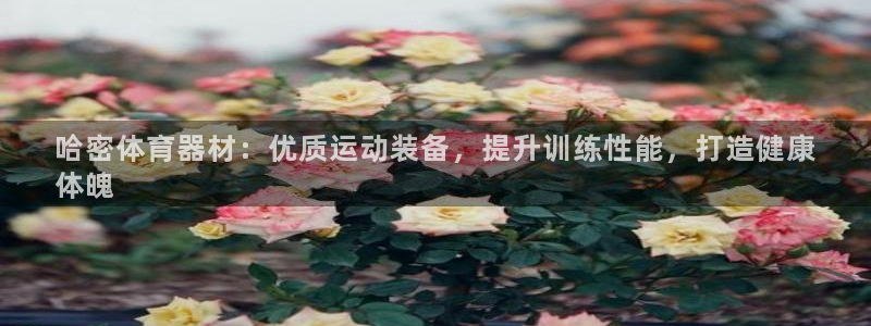 星欧娱乐的创始人背景故事简介：哈密体育器材：优质运动