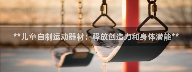 星欧娱乐app最新版本更新内容：**儿童自制运动器材