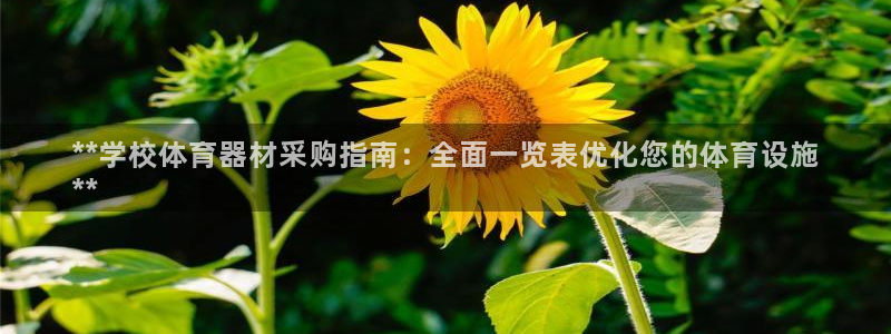 星欧娱乐官网下载安卓