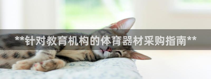 星欧娱乐的创始人背景故事介绍：**针对教育机构的体育