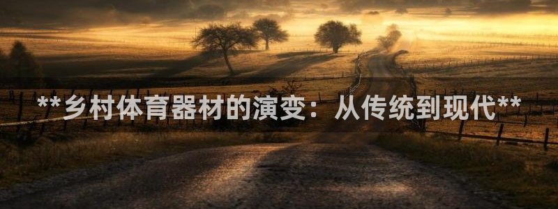 星欧娱乐公司创始人背景故事：**乡村体育器材的演变：