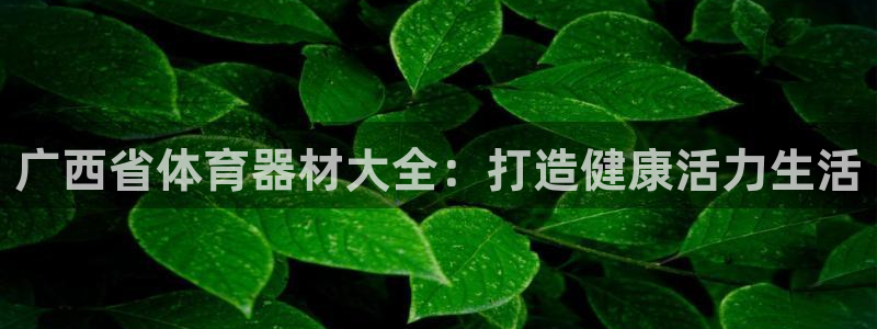 星欧娱乐官网下载安装