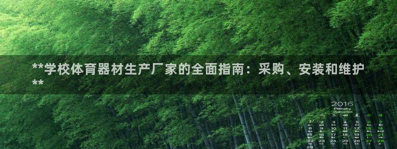 星欧娱乐的创始人背景故事介绍：**学校体育器材生产厂