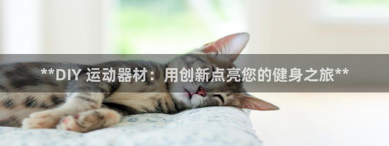星奥娱乐集团股份有限公司官网：**DIY 运动器材：