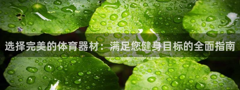 星奥娱乐微博：选择完美的体育器材：满足您健身目标的全