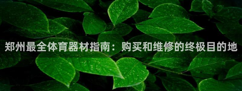 星欧娱乐app最新版本更新内容下载