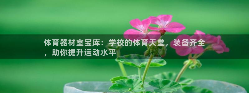 星欧娱乐联4.8.5.6.2.4.3下载：体育器材室