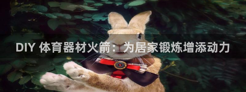 星欧娱乐最建议买的三个产品是什么意思：DIY 体育器