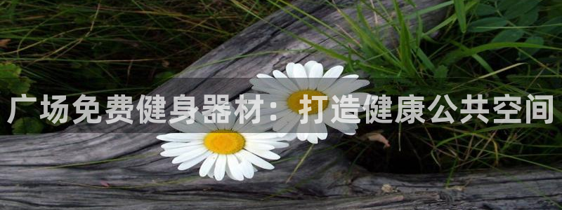 星欧娱乐下载最新版本更新内容：广场免费健身器材：打造