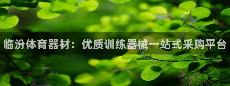 星欧娱乐扣款时间查询方法怎么查的：临汾体育器材：优质