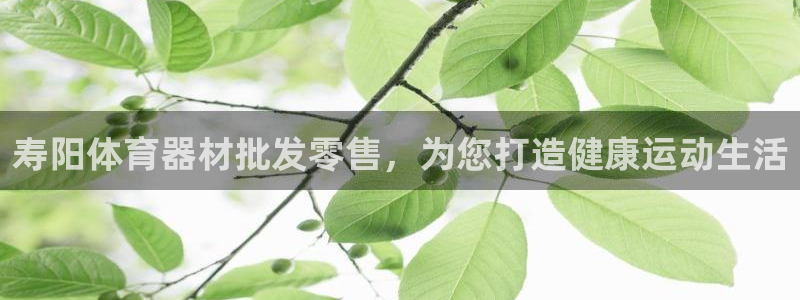星欧娱乐公司创始人背景故事介绍：寿阳体育器材批发零售