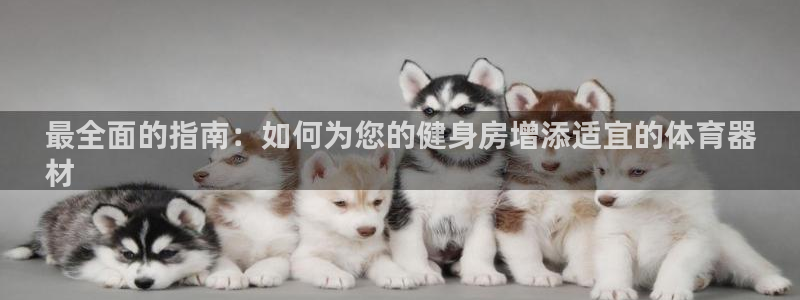 星欧娱乐扣款流程详解图：最全面的指南：如何为您的健身房增添适