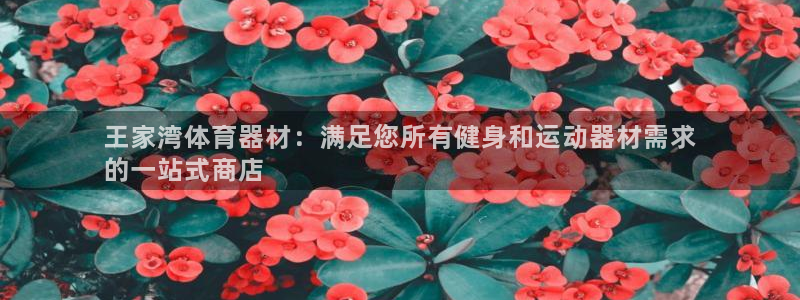 星欧娱乐总代.直开.中国：王家湾体育器材：满足您所有健身和运