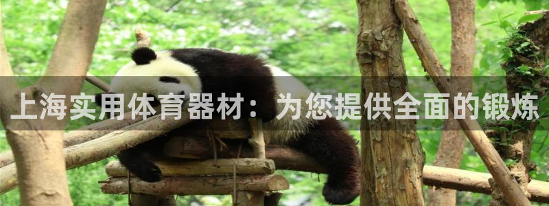 星欧娱乐是正规平台吗可靠吗：上海实用体育器材：为您提供全面的