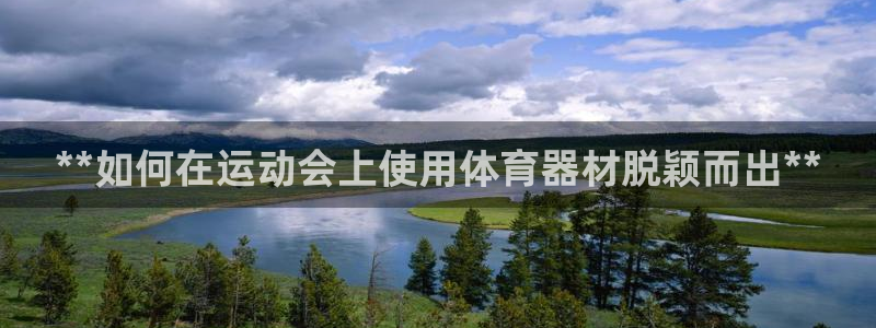 星欧娱乐属于什么档次的软件公司：**如何在运动会上使