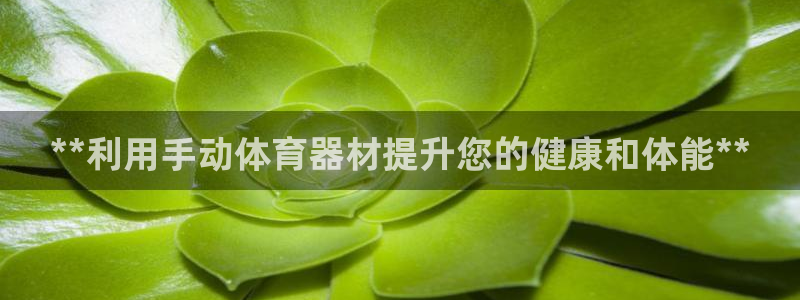 星欧娱乐还能玩吗：**利用手动体育器材提升您的健康和