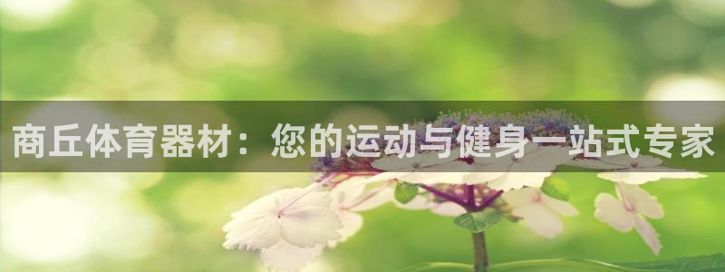 星奥娱乐集团股份有限公司