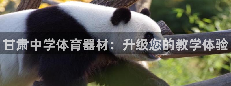 江苏星奥娱乐招艺人：甘肃中学体育器材：升级您的教学体