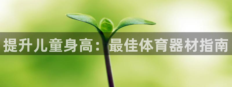 星欧娱乐还能玩吗：提升儿童身高：最佳体育器材指南