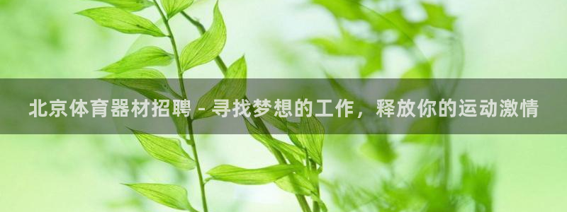 星乐娱乐官网：北京体育器材招聘 - 寻找梦想的工作，