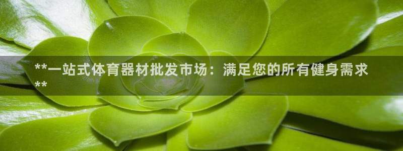 星欧娱乐是正规平台吗知乎：**一站式体育器材批发市场