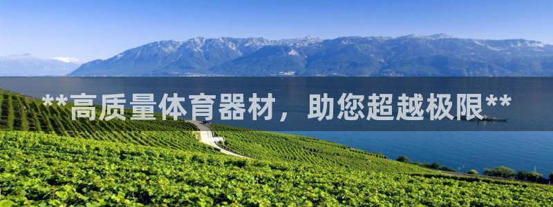 星欧娱乐公司创始人背景故事：**高质量体育器材，助您