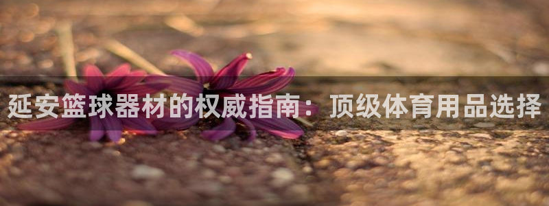 星欧娱乐平台怎么样啊