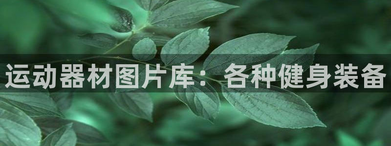 星欧娱乐是什么品牌